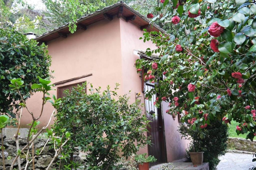 Vonkajšia záhrada v ubytovaní Wonderful 4 Bedroom Villa & separate guest house Villa Thalia