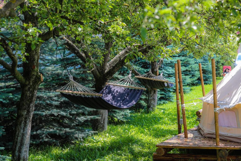 Zahrada ubytování Valea Doftanei Glamping