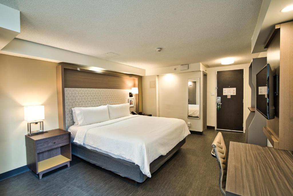 Holiday Inn Toronto Downtown Centre, an IHG Hotel - 双人房间 - 残疾人访问/滚动淋浴