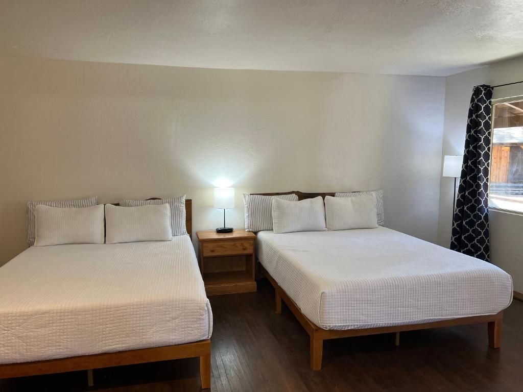 TimberLodge Inn - Suite Deluxe Con Cama Grande