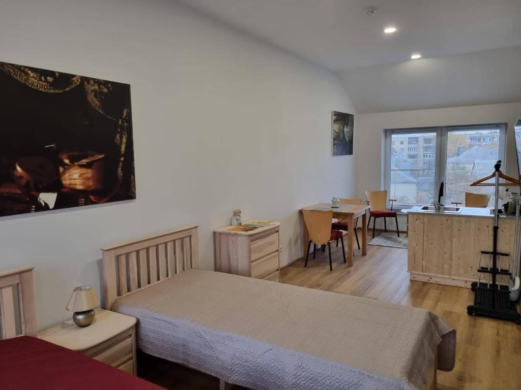 Neris apartments - Studio
