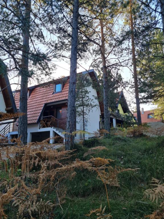 ein Haus mit rotem Dach im Wald in der Unterkunft Šumor šume - Tara in Kaludjerske Bare