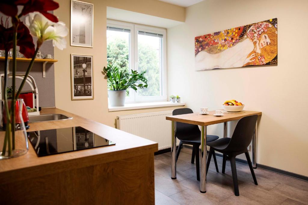 a kitchen with a table and chairs and a sink at Apartmán u Horynů - Hýblova in Česká Třebová