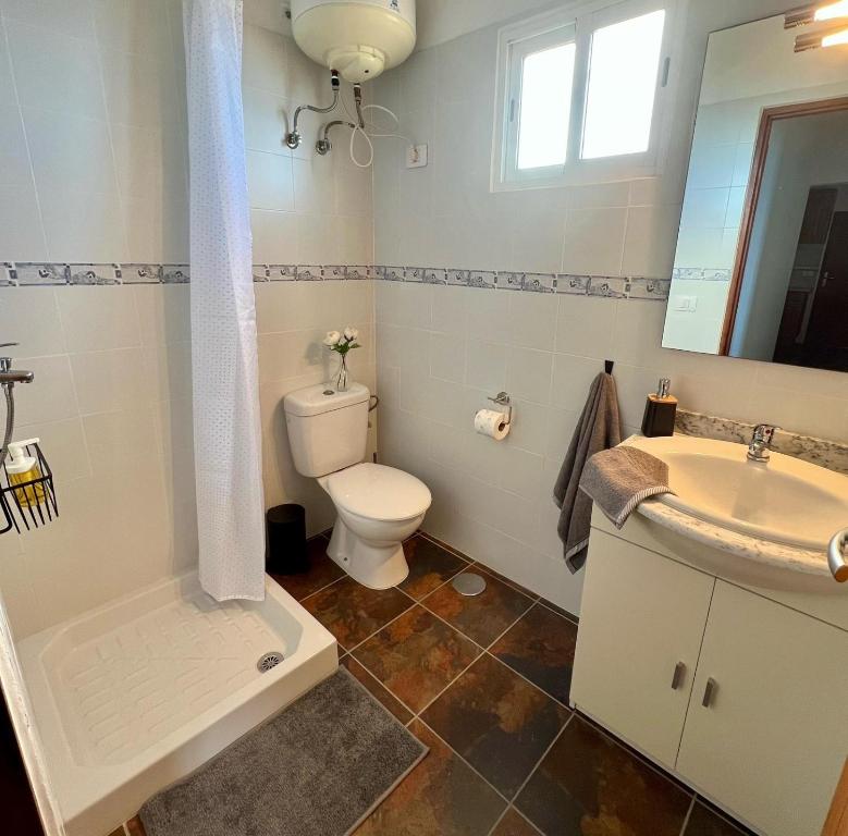 ein Bad mit einem WC und einem Waschbecken in der Unterkunft Sunset Tijarafe in Tijarafe