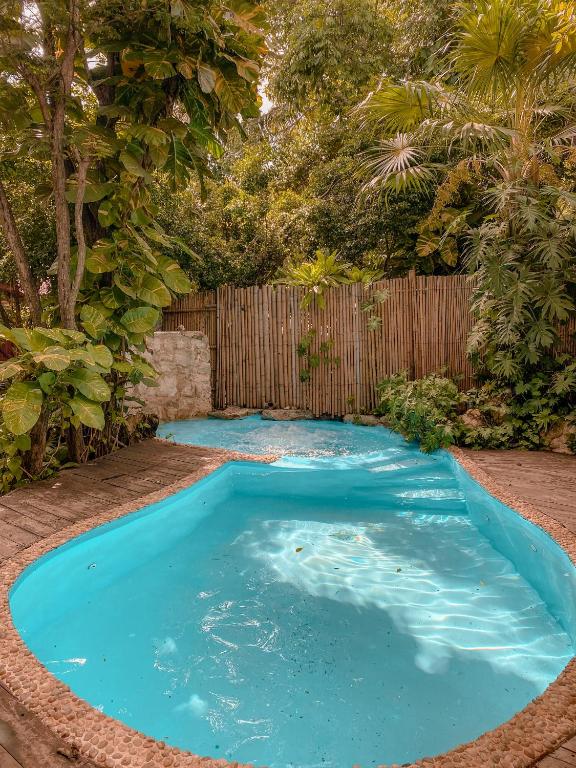 Jungle House Spectacular house with private pool and nature, Playa