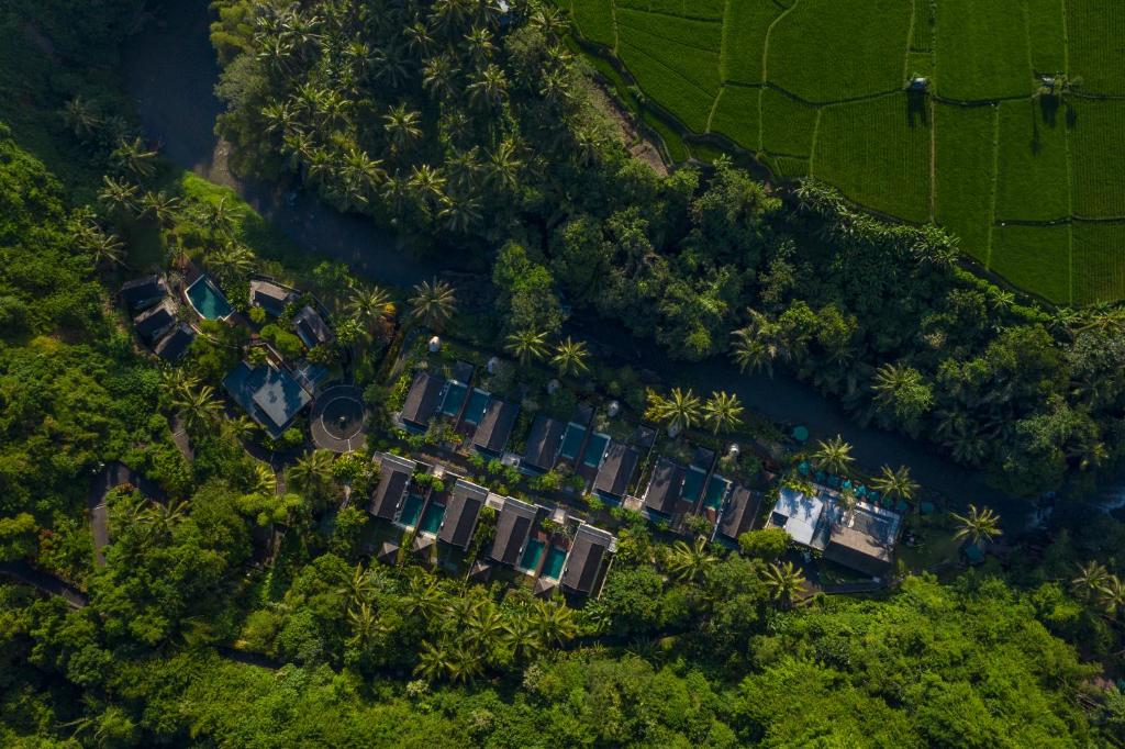 an overhead view of a house with palm trees at The Samaya Ubud in Ubud