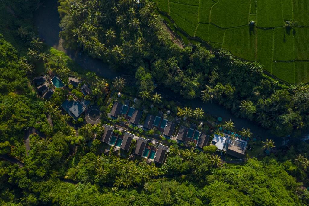 einen Blick über ein Haus mit Palmen in der Unterkunft The Samaya Ubud in Ubud