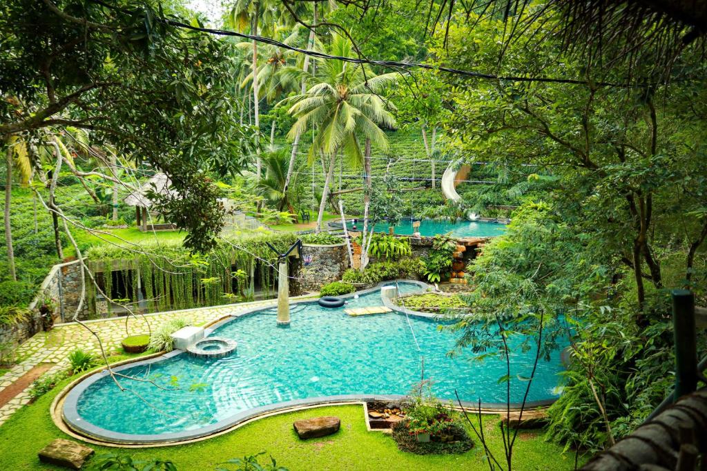 an overhead view of a swimming pool in a garden at Leisure Land in Galle