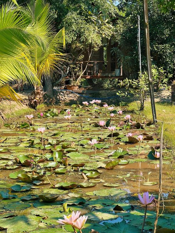 Sukhothai City Resort - 13