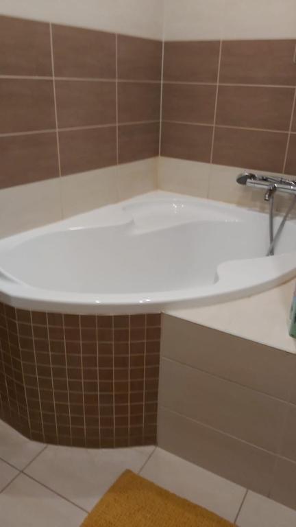 a bath tub with a faucet in a bathroom at Apartment am Schlosspark 3 in Cheb