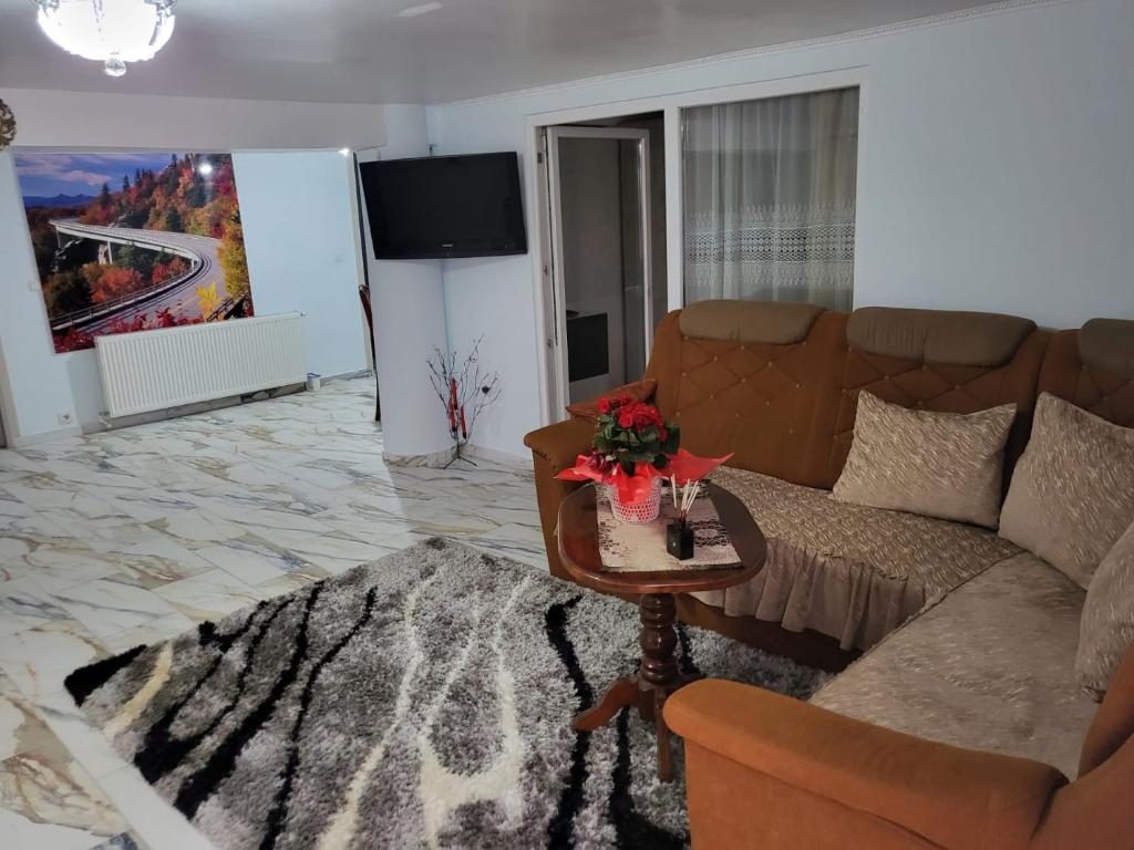 Apartament cu terasa si gratar - Hizvo