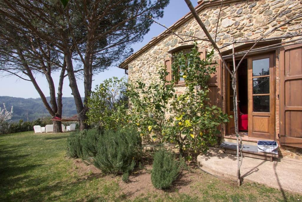 Le Vigne del Grillo