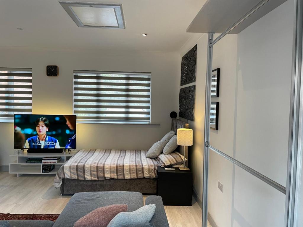 TV a/nebo společenská místnost v ubytování Fully Detached Studio Annexe with Double Bed for 2 & Sofa Bed for 2