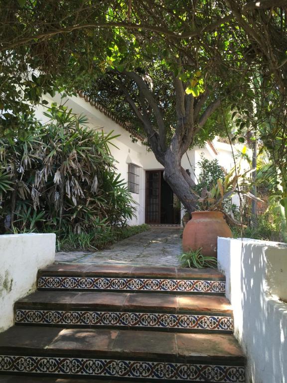 Una escalera con un árbol delante de una casa en Las Gitanillas, villa with heated pool, La Cala de Mijas, en Mijas Costa
