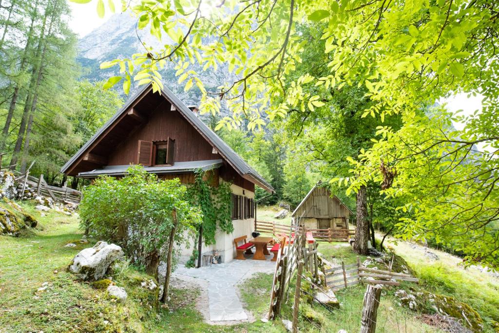 a small house in the middle of a forest at Alpine house Antonia in Trenta