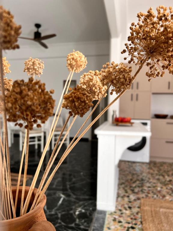 Fotografia z galérie ubytovania Apartment in Paros v destinácii Parikia