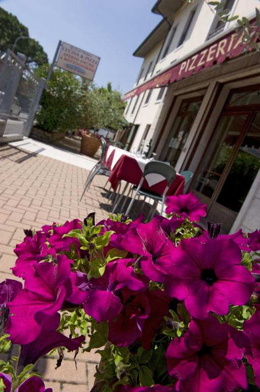 Zahrada ubytování Hotel Scaligero