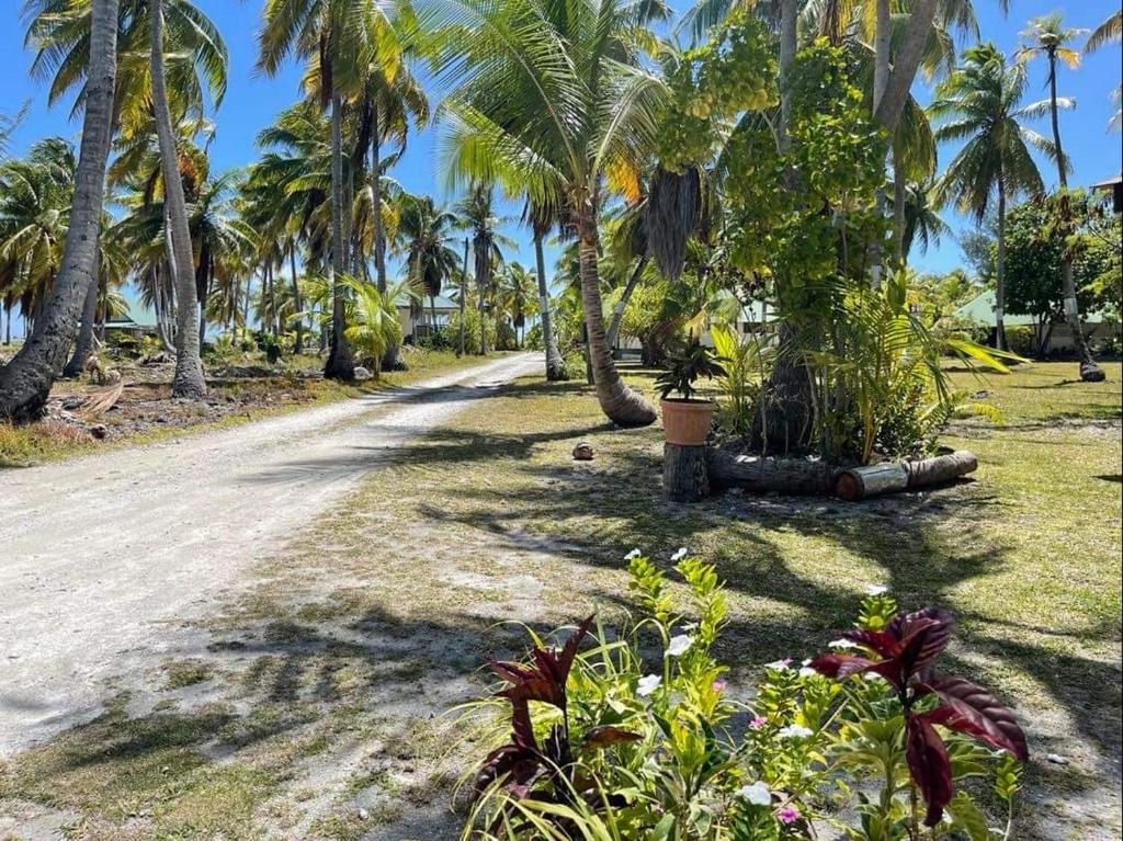 une route bordée de palmiers et de plantes dans l'établissement Rangiroa Guest Paradise, à Avatoru