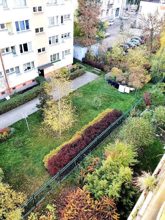 Vonkajšia záhrada v ubytovaní Positive Olive Apartment
