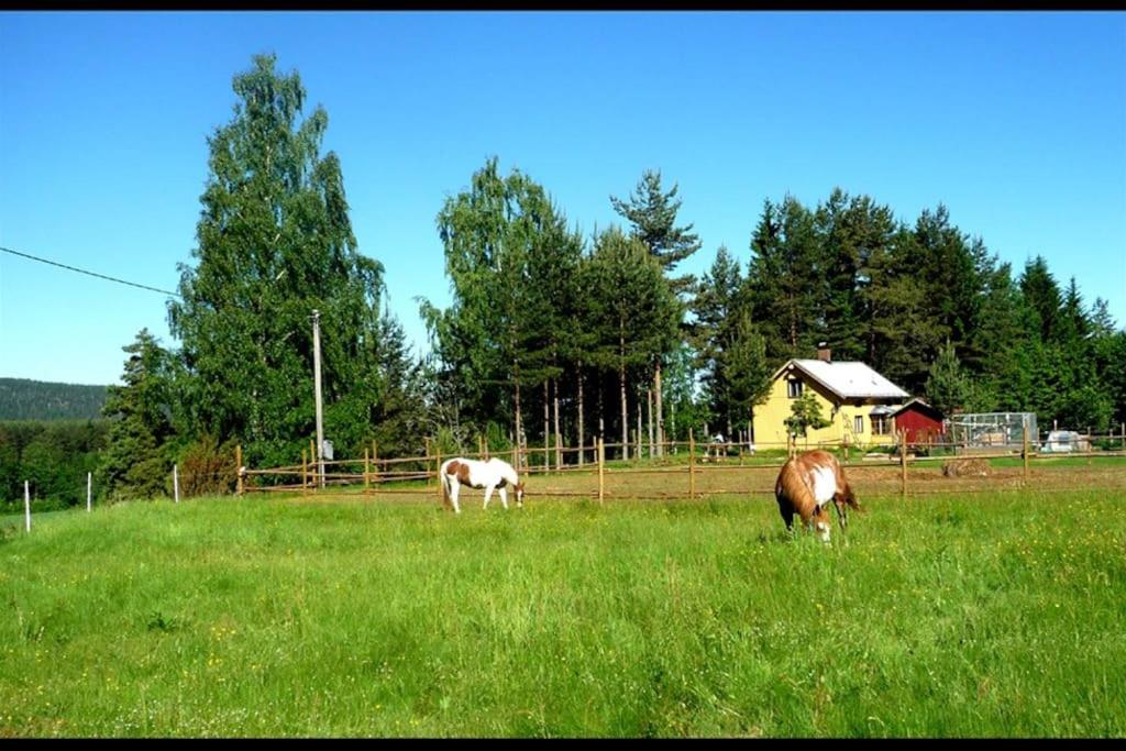 Hosté ubytování Little Forest House "Our Little Farm"
