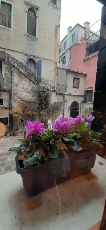 Corte del Doge di Rialto - 17