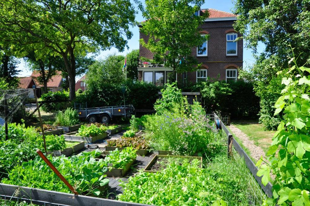 Zahrada ubytování B&B De Postoari Terschelling