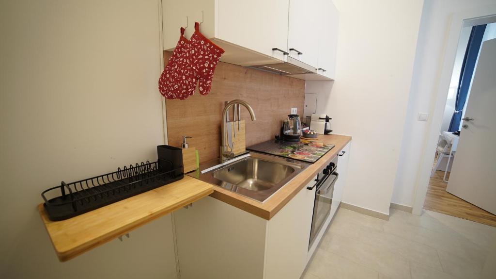Kuchyňa alebo kuchynka v ubytovaní MALIXA - Apartment in the heart of Vienna next to Metro