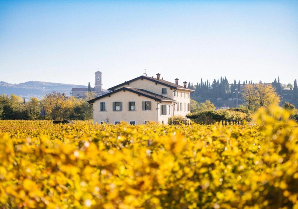 a house in the middle of a field of yellow flowers at Dimora Buglioni Wine Relais in San Pietro in Cariano