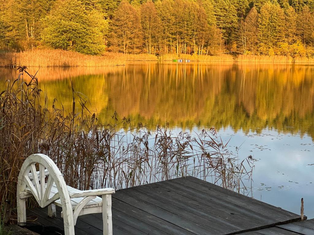 uma cadeira branca sentada numa doca ao lado de um lago em Domwigierski pl -Tobołowo GR -nad samym brzegiem jeziora z sauną- klimatyzacja em Tobołowo