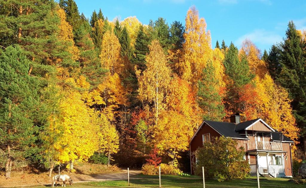 Farm house River&Horse view "Our Little Farm", Ekshärad (updated prices