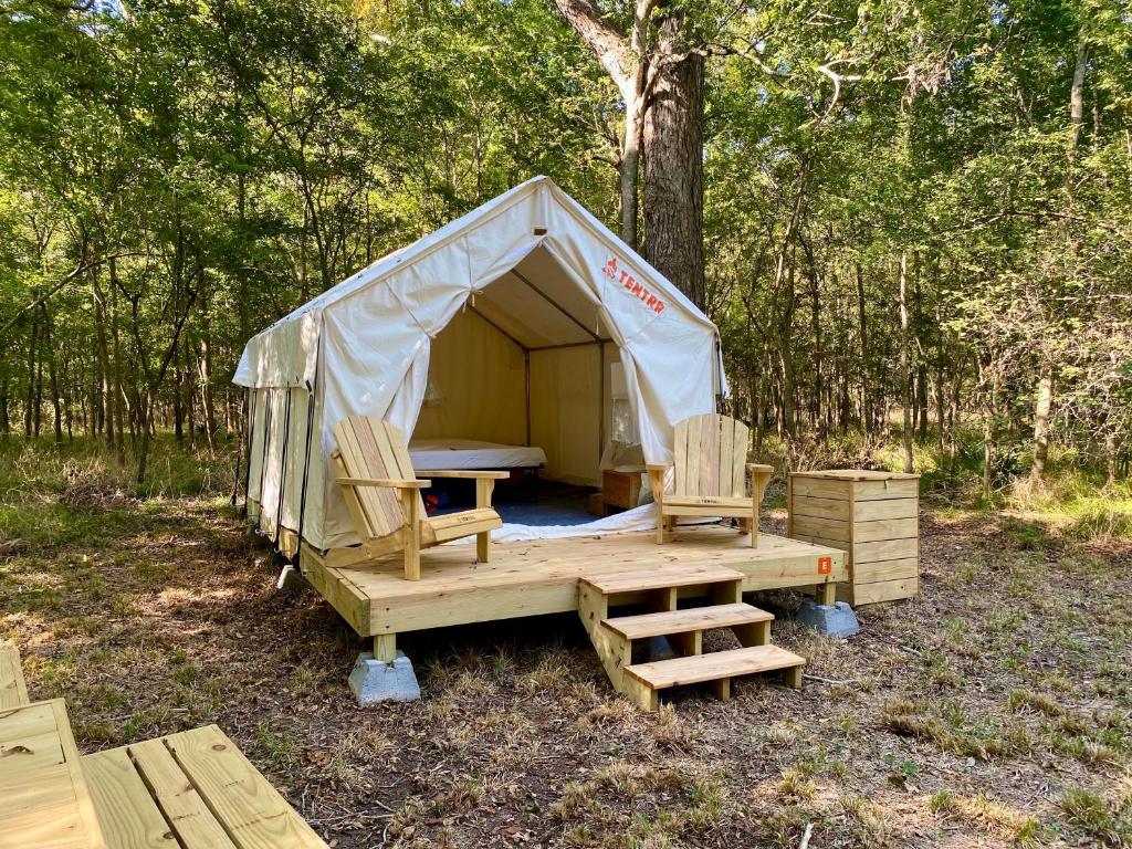 Tentrr State Park Site Texas Brazos Bend State Park Trailside E Single Camp, Needville