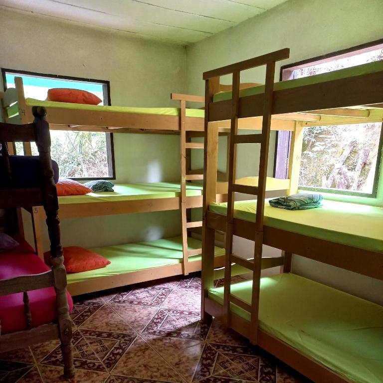 Palanda nebo palandy na pokoji v ubytování Live Hostel