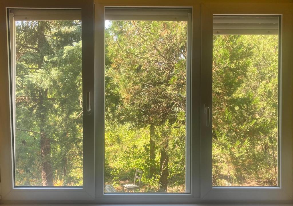 - deux fenêtres dans une chambre avec vue sur les arbres dans l'établissement Csendes zöldövezeti, à Budapest