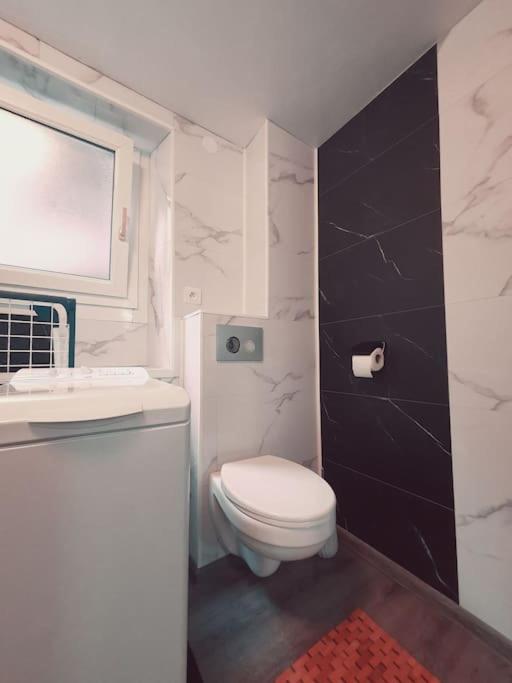 Łazienka z białą toaletą i umywalką w obiekcie - 1 - Appartement charmant moderne 5 pers T3 73m2 w mieście Sélestat