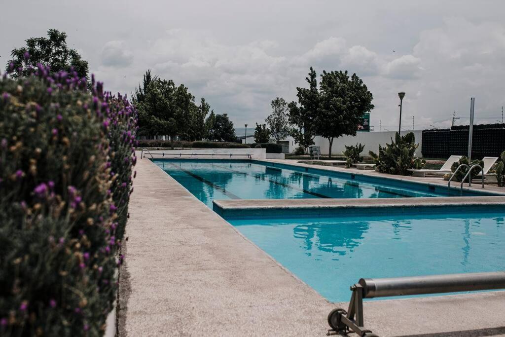 a swimming pool with blue water and purple flowers at Amazing House in Aguacalientes with Pool in Aguascalientes