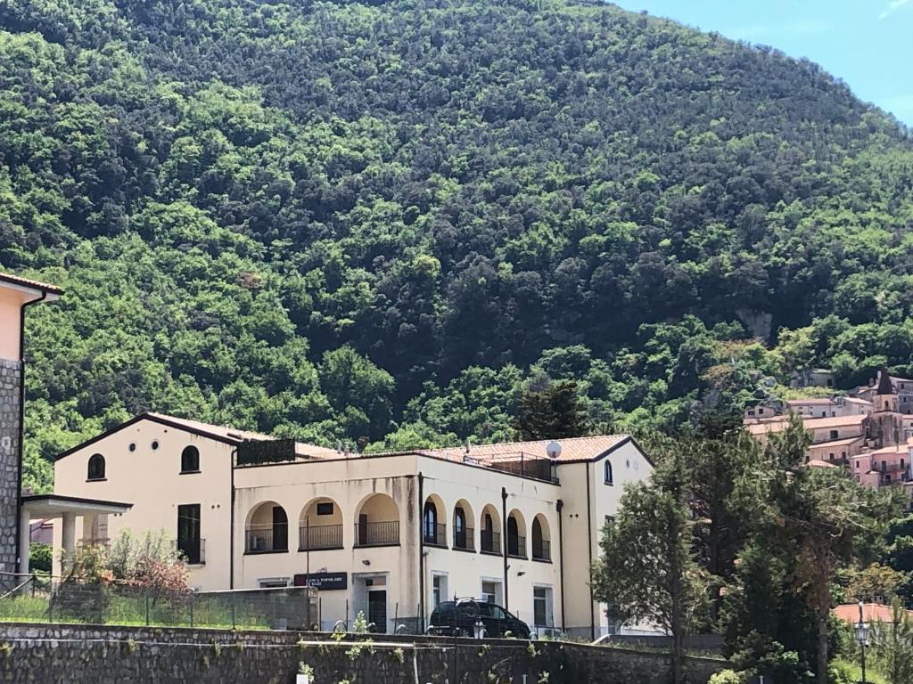 Il liceo