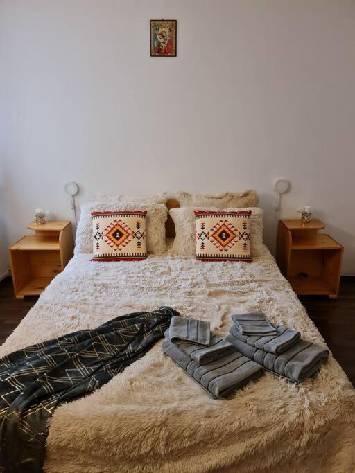 Pensiunea Casa Alex - Casa Con Sei Camere Da Letto