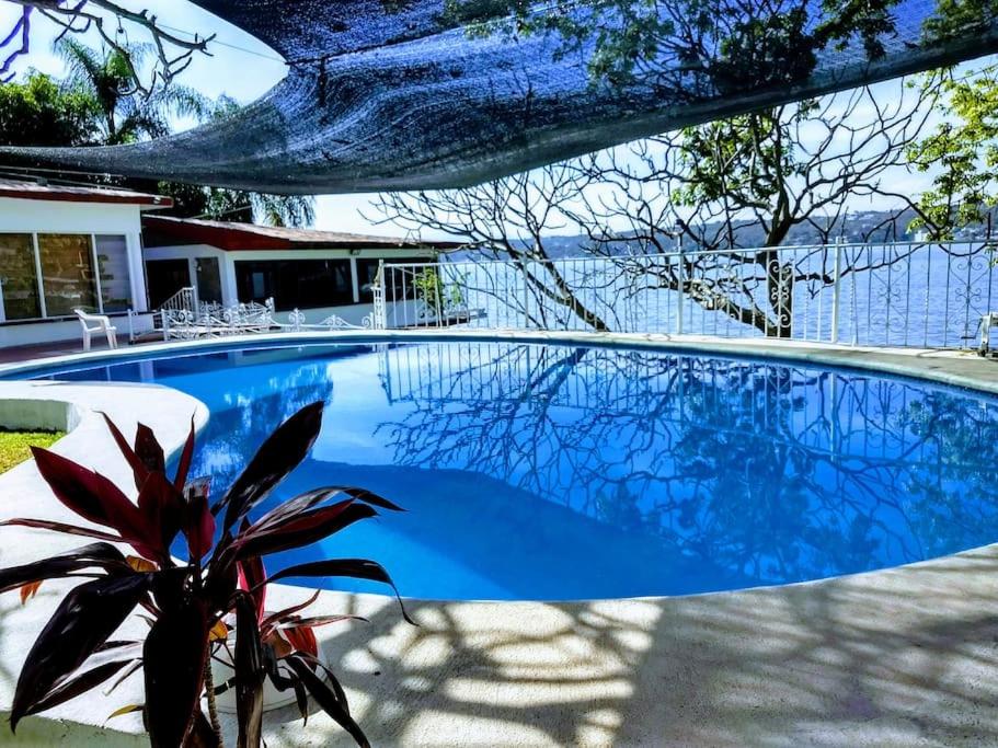 a blue swimming pool with a plant next to a house at Habitación independiente a pie del lago con AC in Tequesquitengo