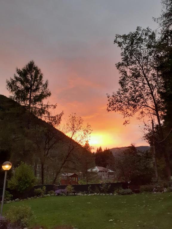 um pôr-do-sol sobre um quintal com uma casa e árvores em Soggiorno Vacanze Stella Alpina em Temù