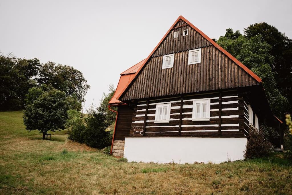 ein großes Holzhaus auf einem Feld in der Unterkunft Chata Rozárka in Kořenov