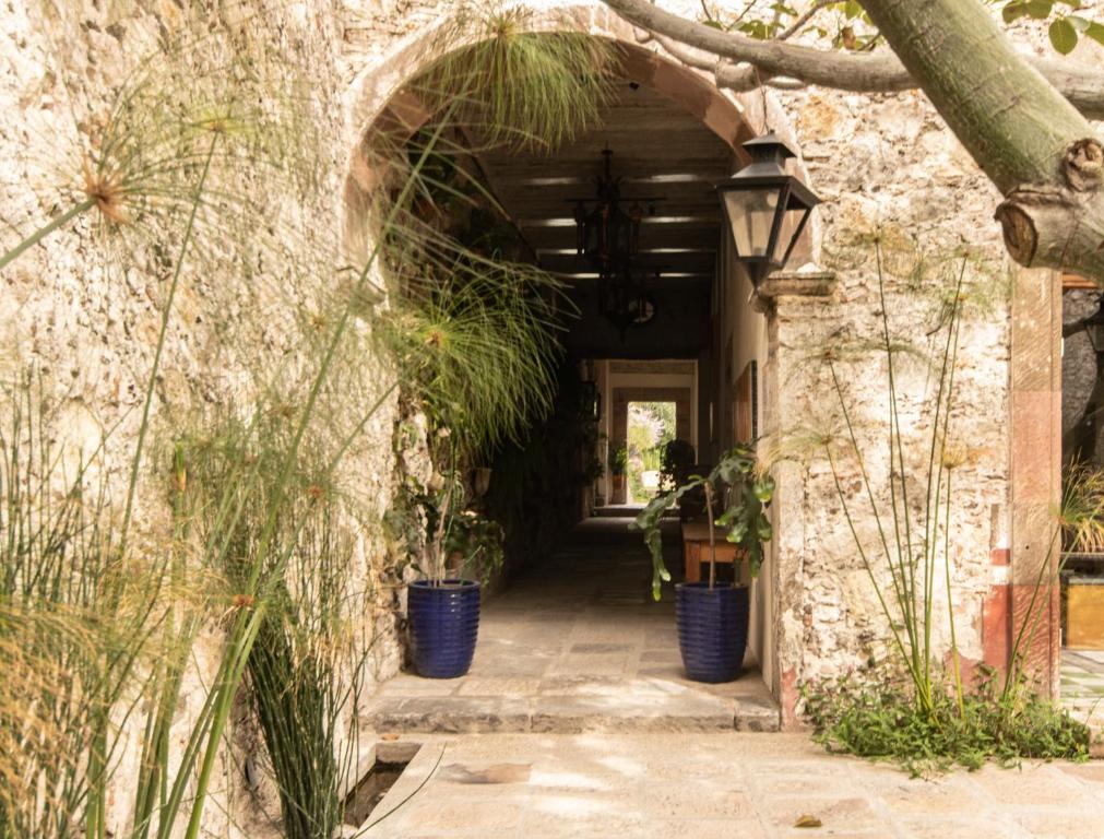 Fotografie z fotogalerie ubytování Orchid House San Miguel de Allende v destinaci San Miguel de Allende