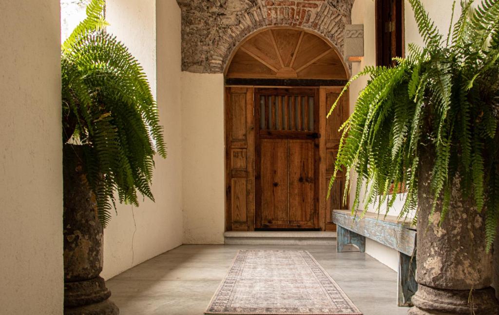 Exteriér nebo vchod ubytování Orchid House San Miguel de Allende