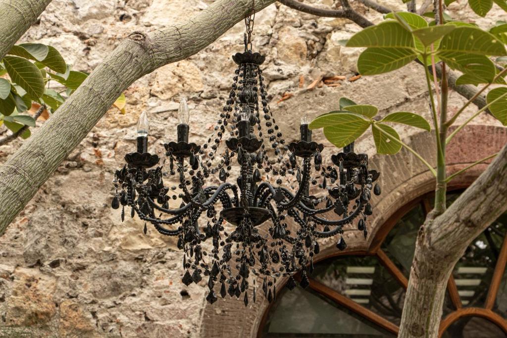 Fotografie z fotogalerie ubytování Orchid House San Miguel de Allende v destinaci San Miguel de Allende