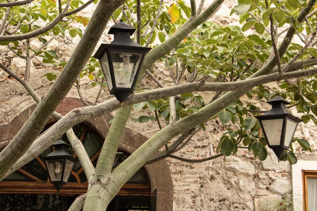 Fotografie z fotogalerie ubytování Orchid House San Miguel de Allende v destinaci San Miguel de Allende