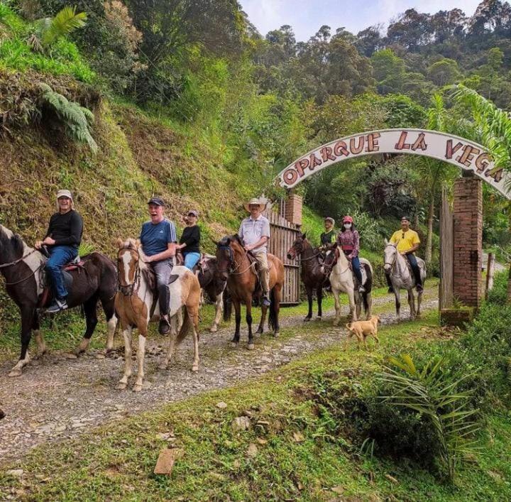 EL ECOPARQUE LA VEGA - Housity
