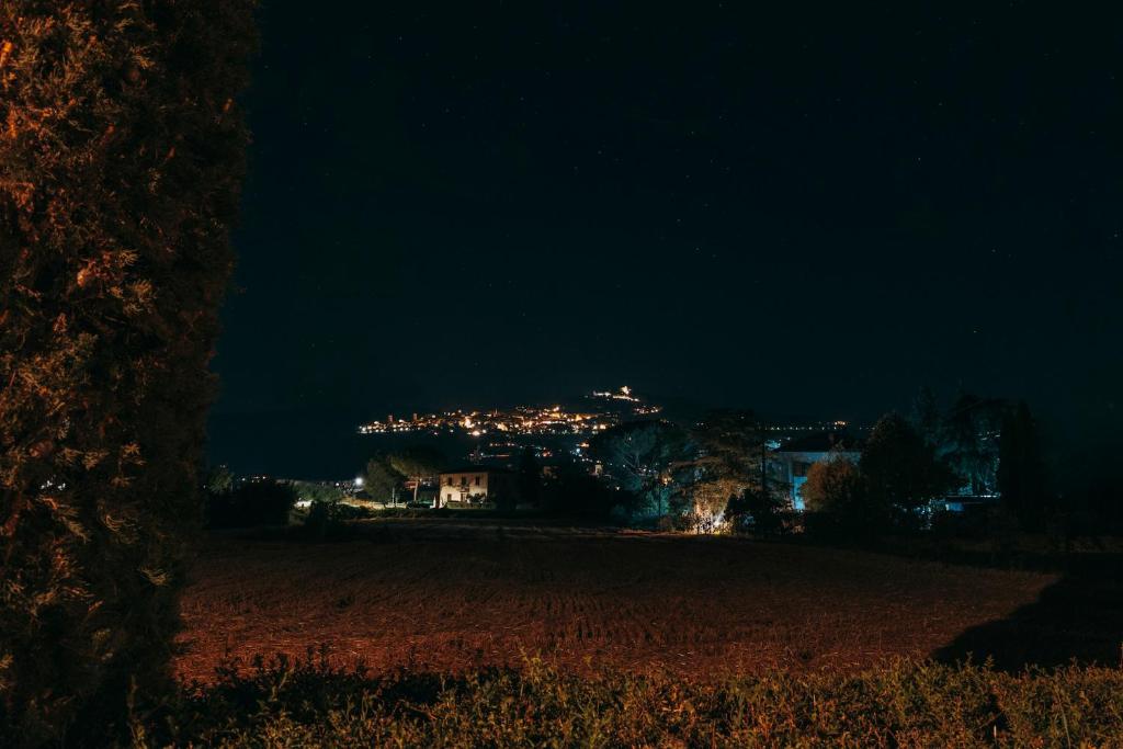 Príroda v okolí farmy