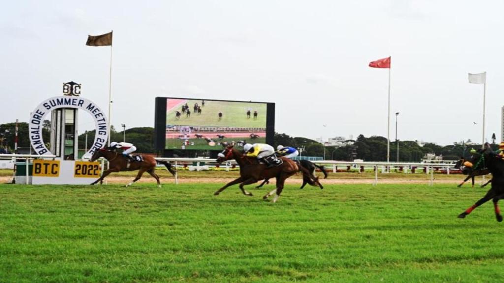 Holiday Inn Bengaluru Racecourse by IHG photo