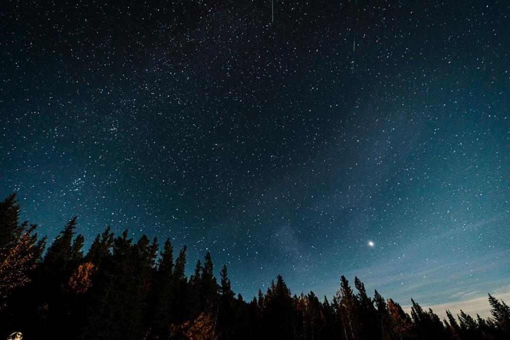 Mynd úr myndasafni af Rocky Mountain Escape Dome & Log Cabin Rentals - Rock Lake í Rock Lake Lodge Provincial Park