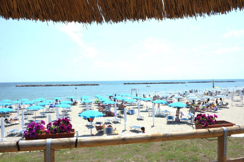 Táj az apartmanhotel közelében