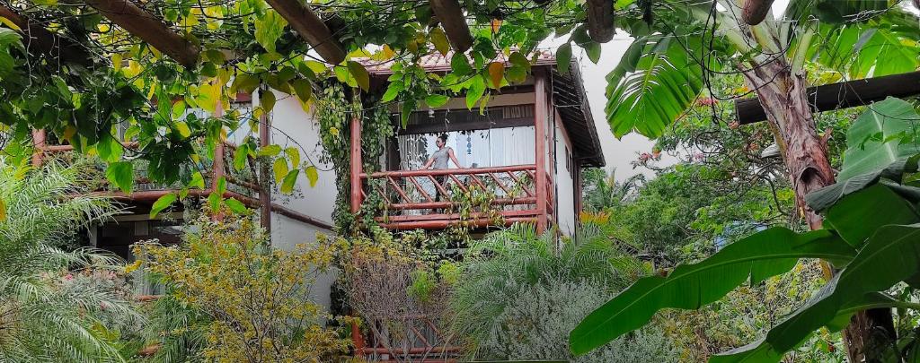 a building with a window and a bunch of plants at Pousada Meu Talento in Alto Paraíso de Goiás
